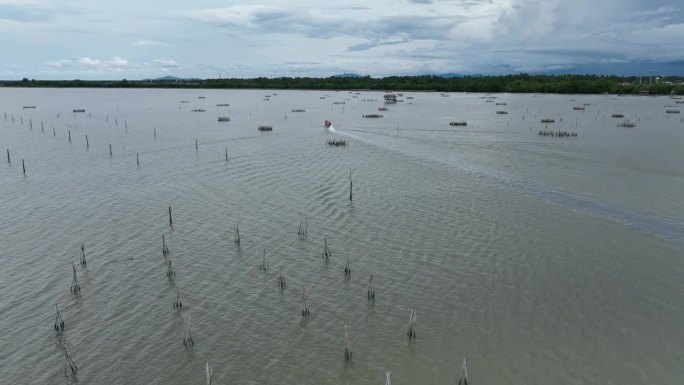 鸟瞰图，景观。泰国南部北大年省当地渔民的船和红树林。海景的俯视图。