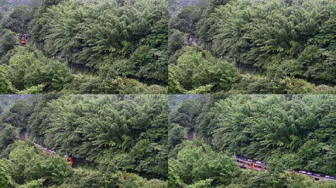 一列黄色的柴油火车行驶在山林之间。