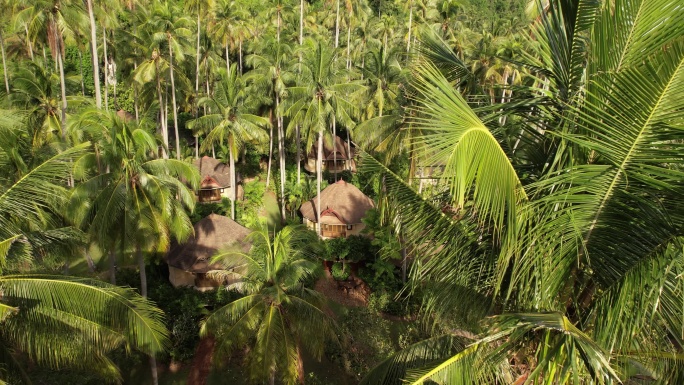 泰国甲米莱雷热带雨林棕榈树航拍自然风光