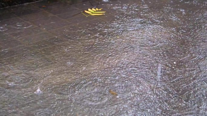 城市马路下雨天雨水雨滴大自然风景风光雨景