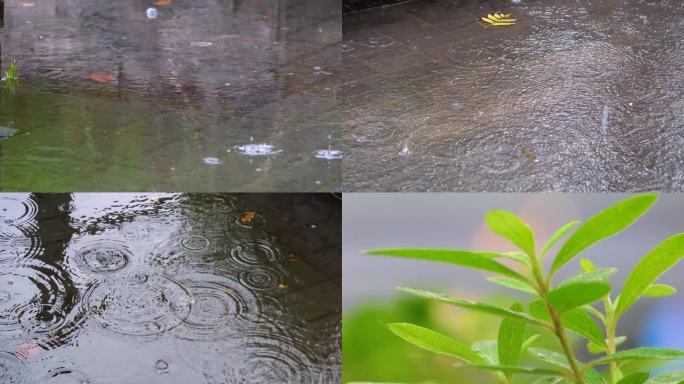 城市马路下雨天雨水雨滴大自然风景风光雨景