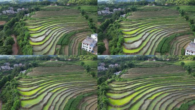 广东梅州大埔县坪山梯田3A景区