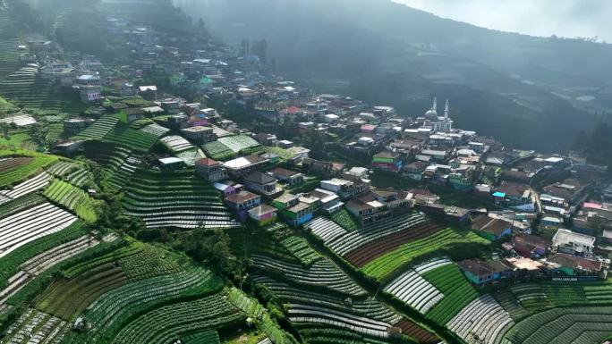 空中拍摄的Butuh村，马格朗，印度尼西亚，也被称为尼泊尔范爪哇在雾蒙蒙的早晨