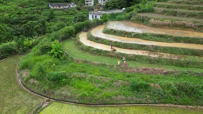 广东梅州大埔县坪山梯田3A景区