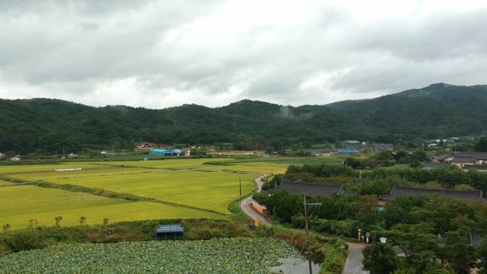 鸟瞰农村地区的稻田和传统的韩国房屋。韩国以山脉为背景的无人机视图