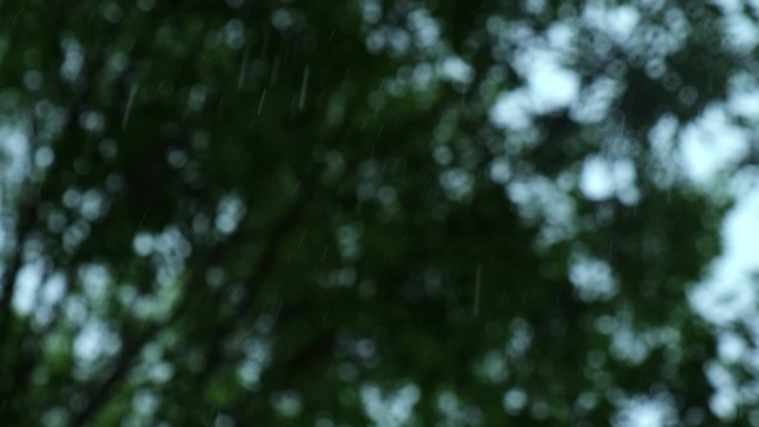 暴雨倾盆，夏季雷暴。绿色的树作为背景。多风多雨的天气，近距离拍摄带有散景的暗夜镜头。季节热带雨林风暴