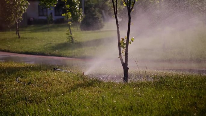 草坪灌溉系统，草坪洒水器在运行时，向左右作一圈喷水。