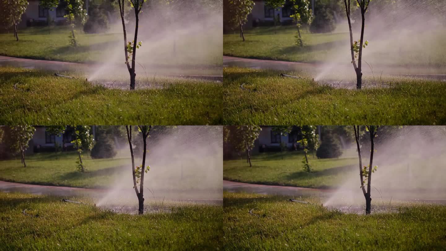 草坪灌溉系统，草坪洒水器在运行时，向左右作一圈喷水。