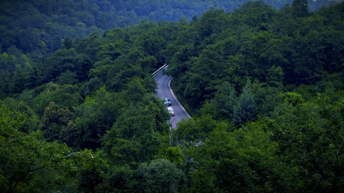 5.7K 森林公路 有氧旅行