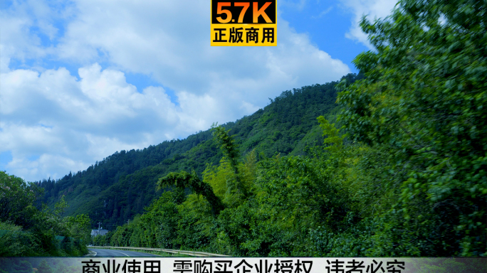 5.7K 森林公路 有氧旅行