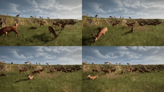 麋鹿3D动画 4K