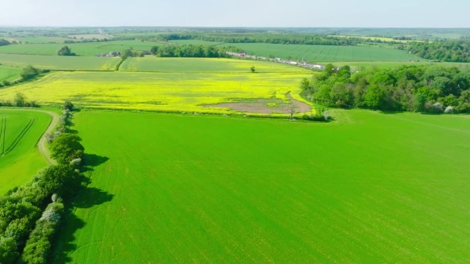 田野鸟瞰图，英国三农业农田园耕地种植大米