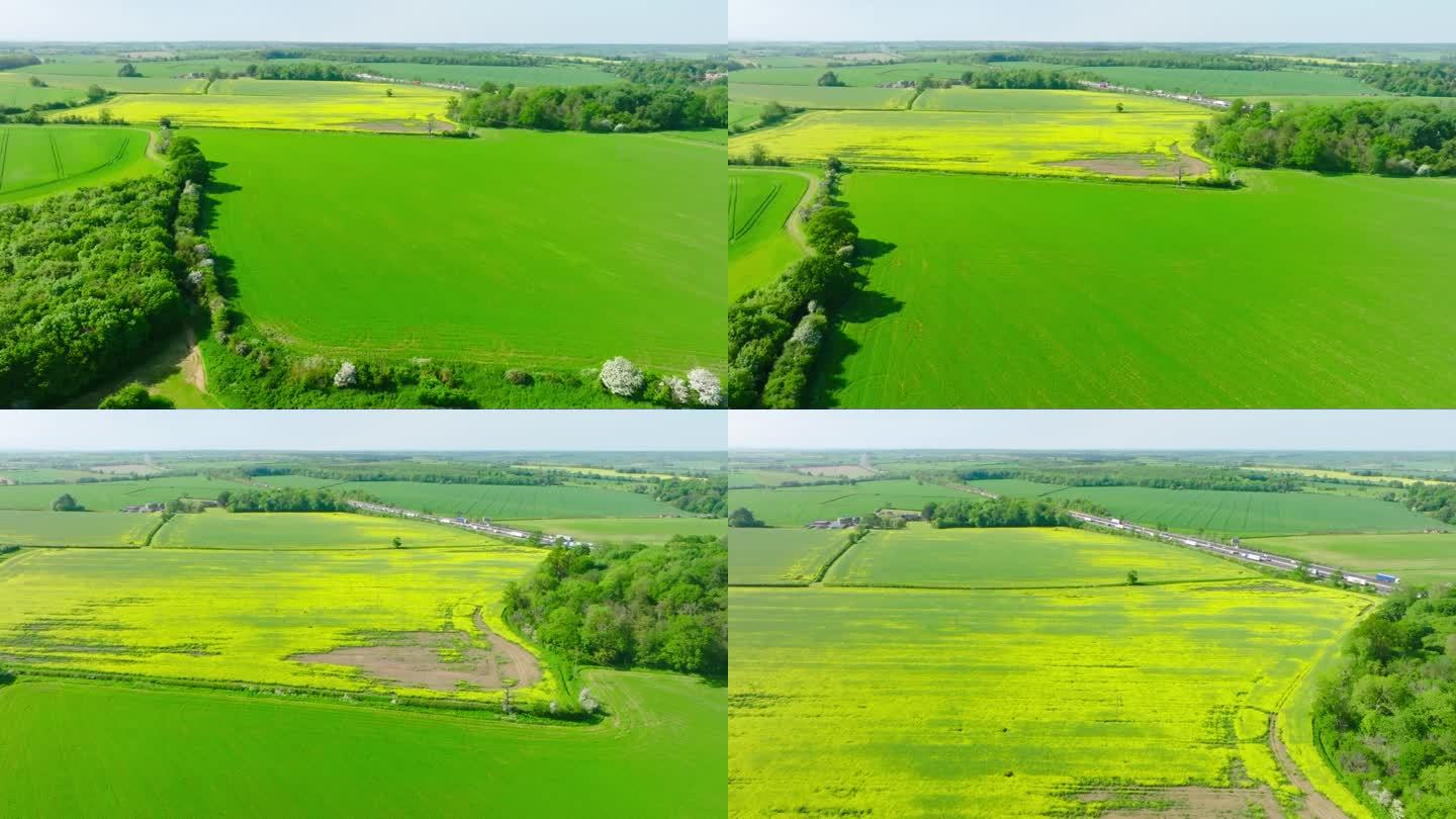 田野鸟瞰图，英国三农业农田园耕地种植大米