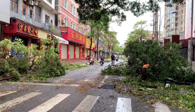 台风登陆及过境灾后现场