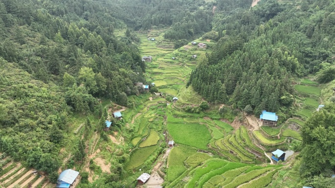 从江梯田