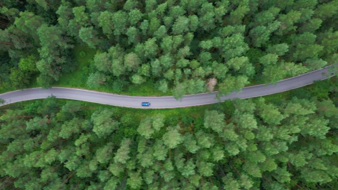 穿越森林的公路旅行。风景优美的夏季景观。鸟瞰图夏日，白色轿车行驶在柏油路上，穿过广阔的森林。汽车在松