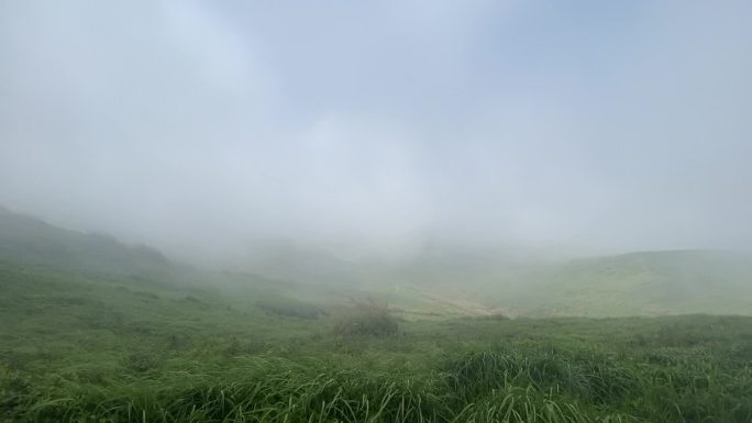 雾气笼罩的山顶草坪