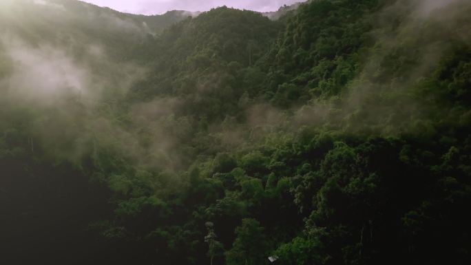 郁郁葱葱的绿色雨林山鸟瞰图