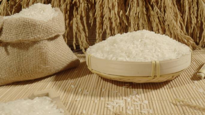 大米模型景 大米粮食农作物