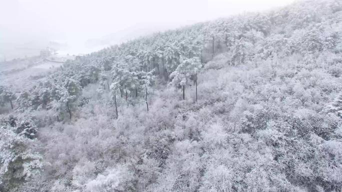 高山雾凇 4K