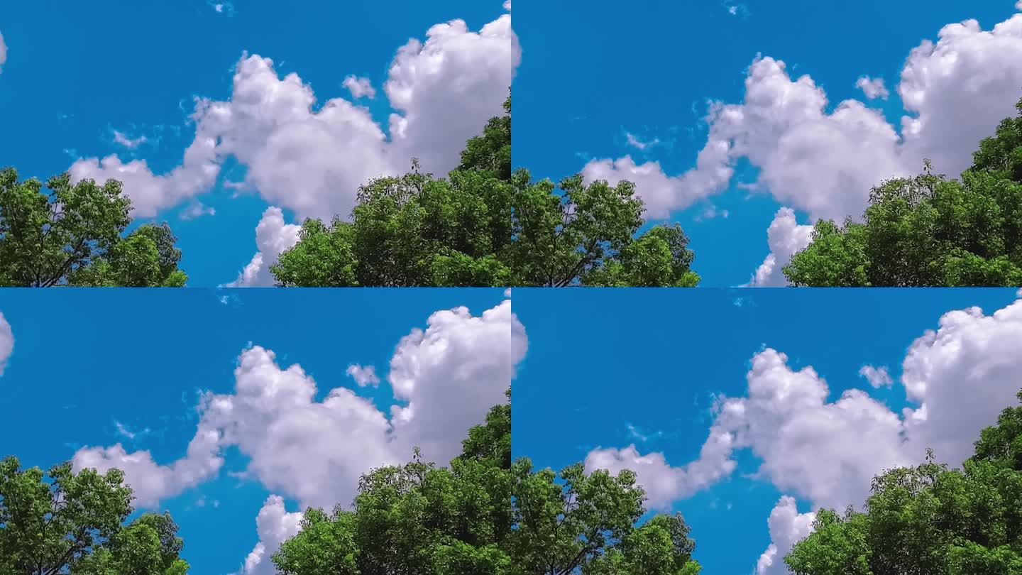 夏日天空