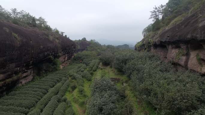 航拍 武夷山 景区 正岩茶山 土国在合集