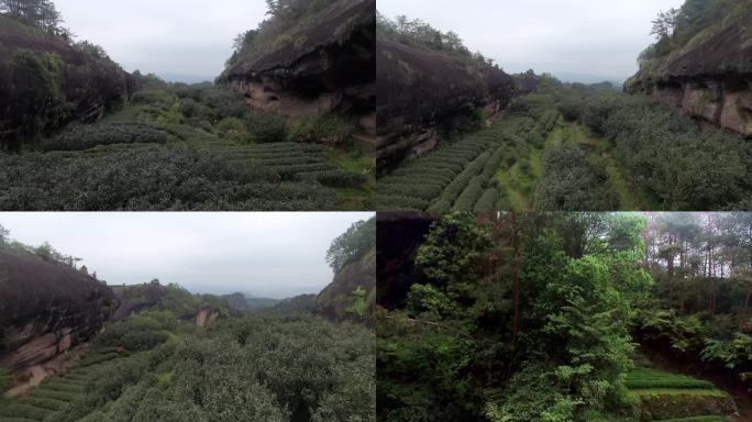 航拍 武夷山 景区 正岩茶山 土国在合集