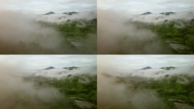 郁郁葱葱的绿色雨林山鸟瞰图