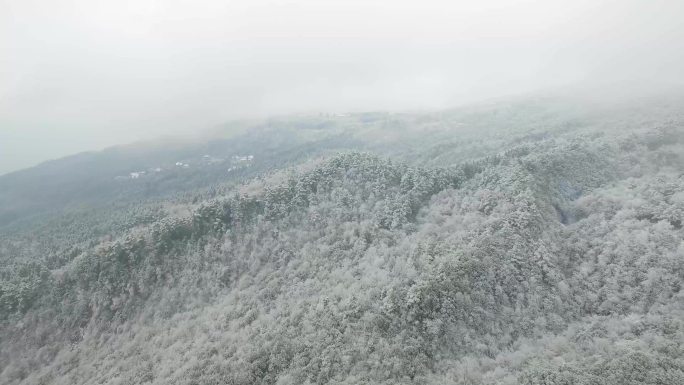 雪山 雪林4K