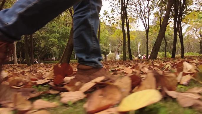秋天公园树林落野脚步