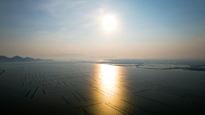 海上养殖基地生蚝养殖4K