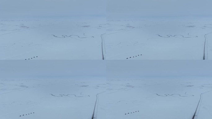 呼伦贝尔草原千里冰封冬季风景