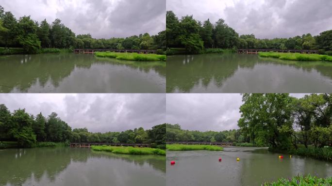 西溪湿地雨中湖面