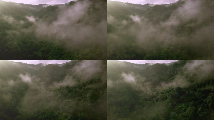 郁郁葱葱的绿色雨林山鸟瞰图