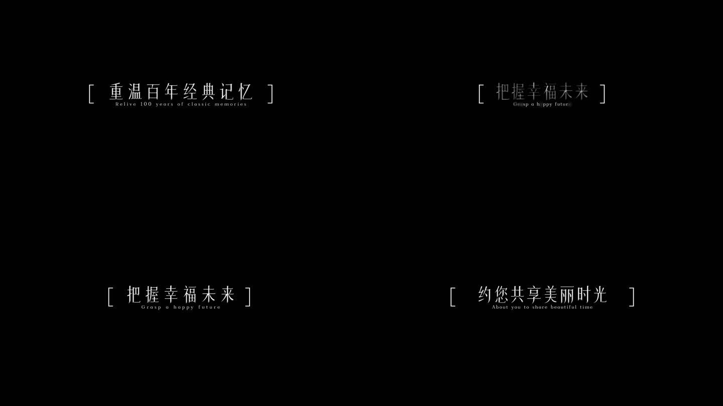 宣传简洁大气字幕 内含字体