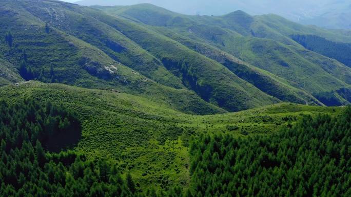 大山 夏季 绿色 北方山脉 青山绿水