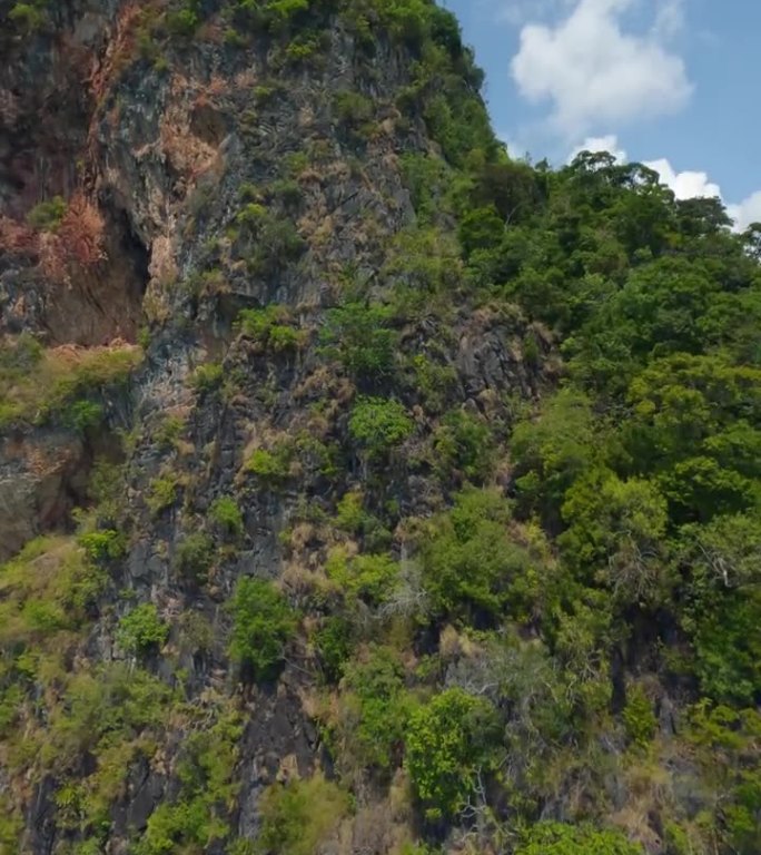 垂直视频。爬到山顶岩石纹理的热带绿色岛屿