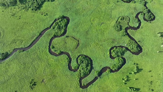 航拍森林湿地蜿蜒的河湾