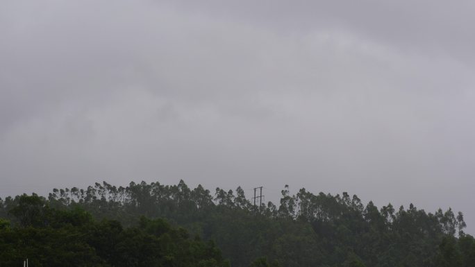 阴天森林乌云飘过树林阴雨天森林大景松树林