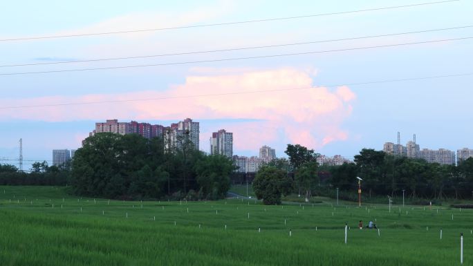 成都 环城绿道 锦城绿道 黄昏棉花云美景