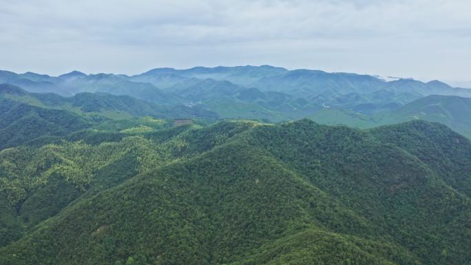 航拍避暑之地浙江湖州莫干山自然风光