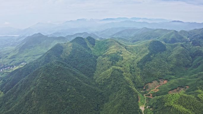 航拍避暑之地浙江湖州莫干山自然风光