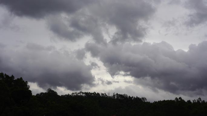 阴天森林乌云飘过树林阴雨天森林大景松树林