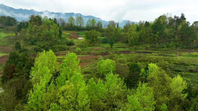 山区农舍梯田水库A