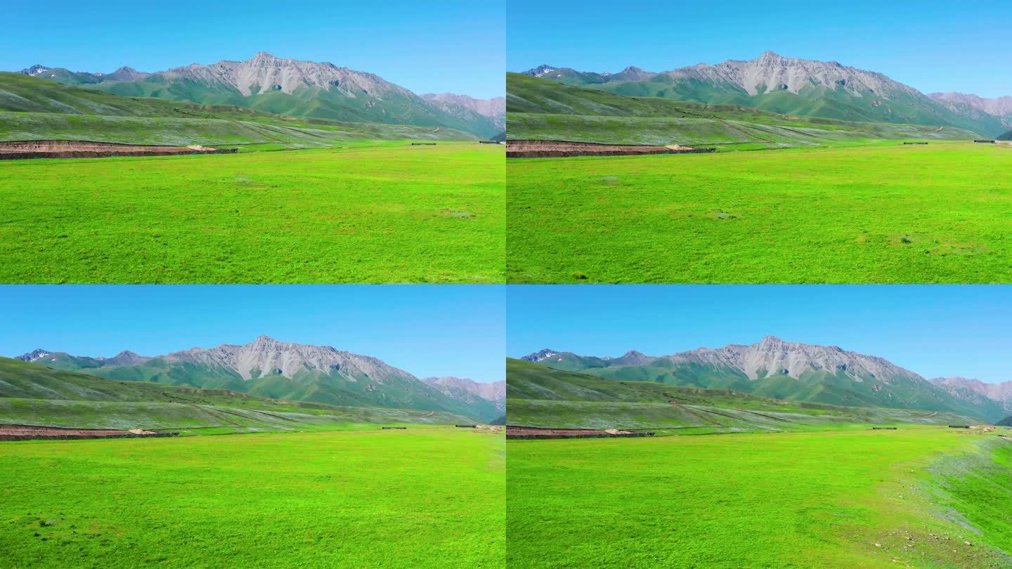 新疆伊犁喀拉峻草原 风光