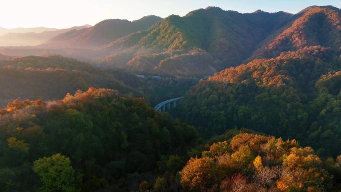 祖国风光山水山川森林自然云海云雾青山绿水