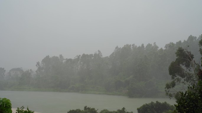 台风森林狂风暴雨风吹树林风吹雨打树木下雨