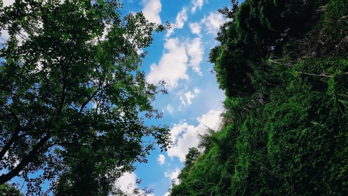 夏日天空