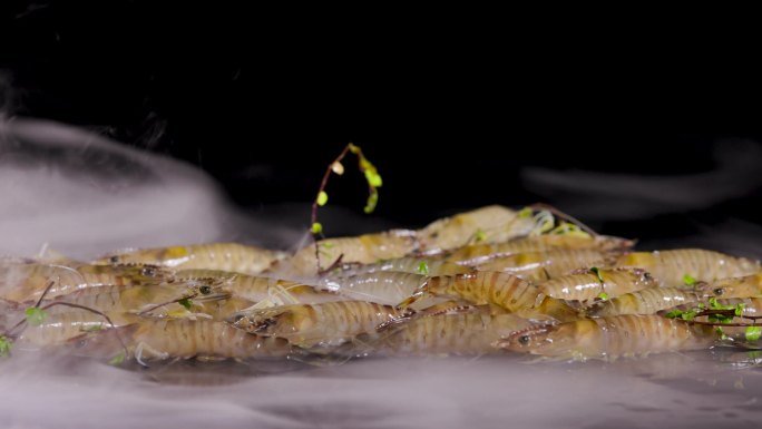 鲜活海鲜斑节虾节虾大虾