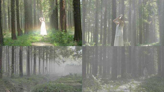 美女森林意境，美女走进森林